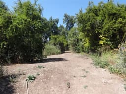 Sitio en venta en Lo Barnechea — foto 3 de 8