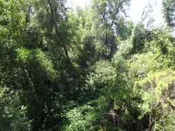 Sitio en venta en Lo Barnechea — foto 7 de 8